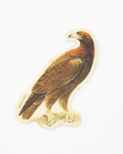 Cognitive Surplus Golden Eagle Sticker* Stickers | Ornithology