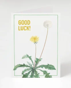 Cognitive Surplus Good Luck! Dandelion Greeting Card | * Greeting Cards | Biology