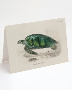 Cognitive Surplus Green Sea Turtle Greeting Card - Biology Gifts | * Greeting Cards | Marine Biology