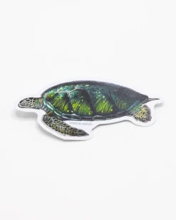 Cognitive Surplus Green Sea Turtle Sticker* Stickers | Marine Biology