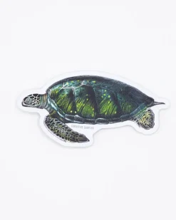 Cognitive Surplus Green Sea Turtle Sticker* Stickers | Marine Biology