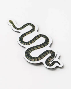 Cognitive Surplus Green Snake Magnet* Magnets | Biology
