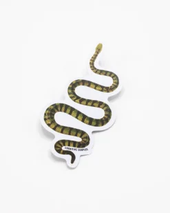 Cognitive Surplus Green Snake Sticker* Stickers | Biology