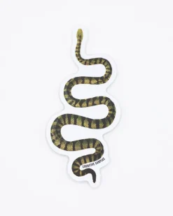 Cognitive Surplus Green Snake Sticker* Stickers | Biology