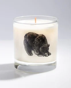 Cognitive Surplus Grizzly Bear Cocktail Candle* Candles | Biology
