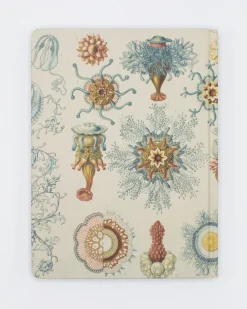 Cognitive Surplus Haeckel Jellyfish Hardcover - Blank* The Theory | Marine Biology