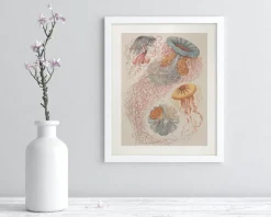 Cognitive Surplus Haeckel Jellyfish Scientific Illustration Museum Print* Wall Art | Marine Biology