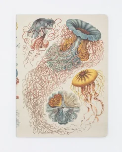 Cognitive Surplus Haeckel Jellyfish Softcover Notebook - Dot Grid* The Experiment | Marine Biology