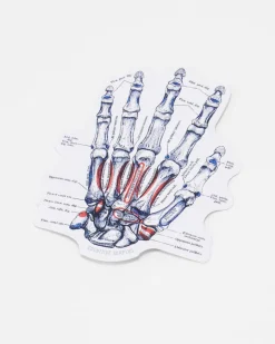 Cognitive Surplus Hand Skeletal Anatomy Sticker* Stickers | Medicine