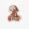 Cognitive Surplus Head Anatomy Sticker* Stickers | Medicine