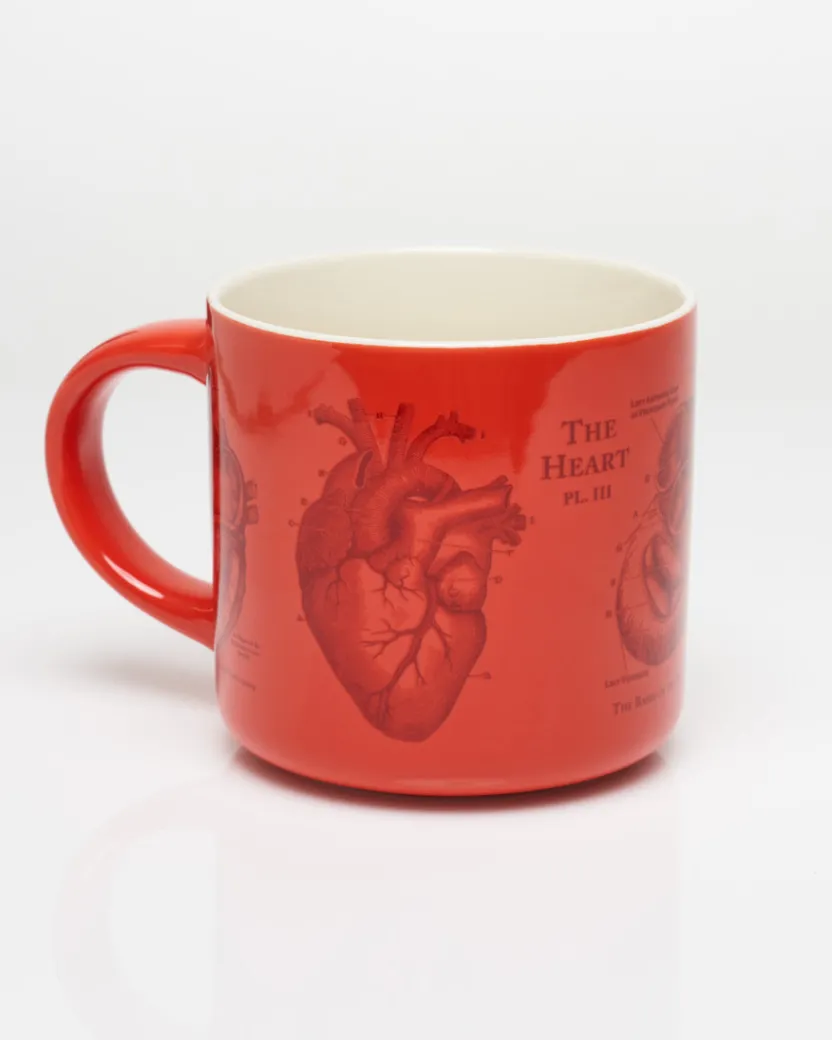 Cognitive Surplus Heart Anatomy Mug - Nurse Mug | * Mugs | Medicine