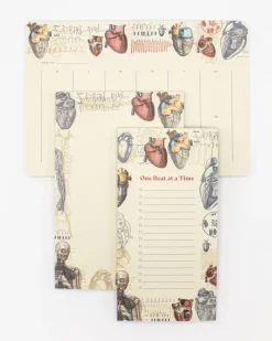 Cognitive Surplus Heart Anatomy Notepads - Vintage Medicine Pad | * Notepads | Medicine