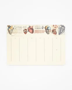 Cognitive Surplus Heart Anatomy Notepads - Vintage Medicine Pad | * Notepads | Medicine