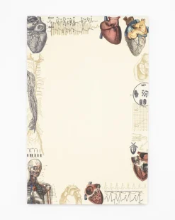 Cognitive Surplus Heart Anatomy Notepads - Vintage Medicine Pad | * Notepads | Medicine