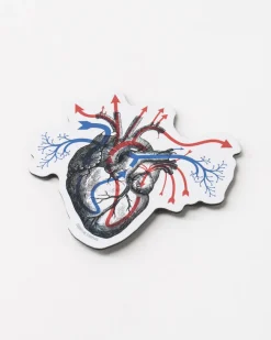 Cognitive Surplus Heart Blood Flow Magnet* Magnets | Medicine