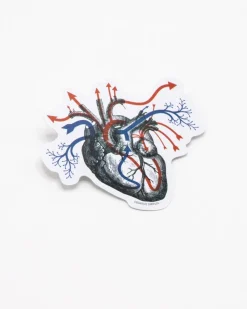 Cognitive Surplus Heart Blood Flow Sticker* Stickers | Medicine