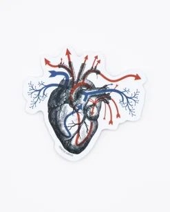 Cognitive Surplus Heart Blood Flow Sticker* Stickers | Medicine