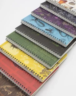 Cognitive Surplus Helix Mystery Notebook 6-pack* Multi-Pack Collections | The Helix