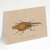 Cognitive Surplus Hercules Beetle Greeting Card - Entomology Stationery | * Greeting Cards | Entomology