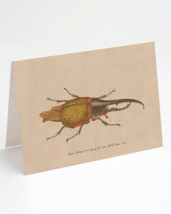 Cognitive Surplus Hercules Beetle Greeting Card - Entomology Stationery | * Greeting Cards | Entomology