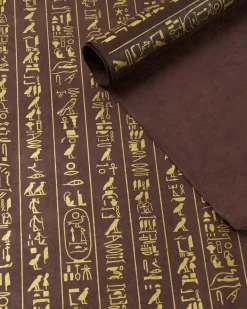 Cognitive Surplus Hieroglyphics Wrapping Paper* Wrapping Paper | Anthropology & Archaeology