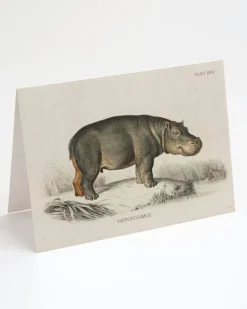Cognitive Surplus Hippopotamus Greeting Card - Science Stationery | * Greeting Cards | Biology