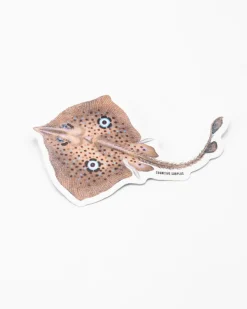 Cognitive Surplus Homelyn Mirror Ray Sticker* Stickers | Marine Biology