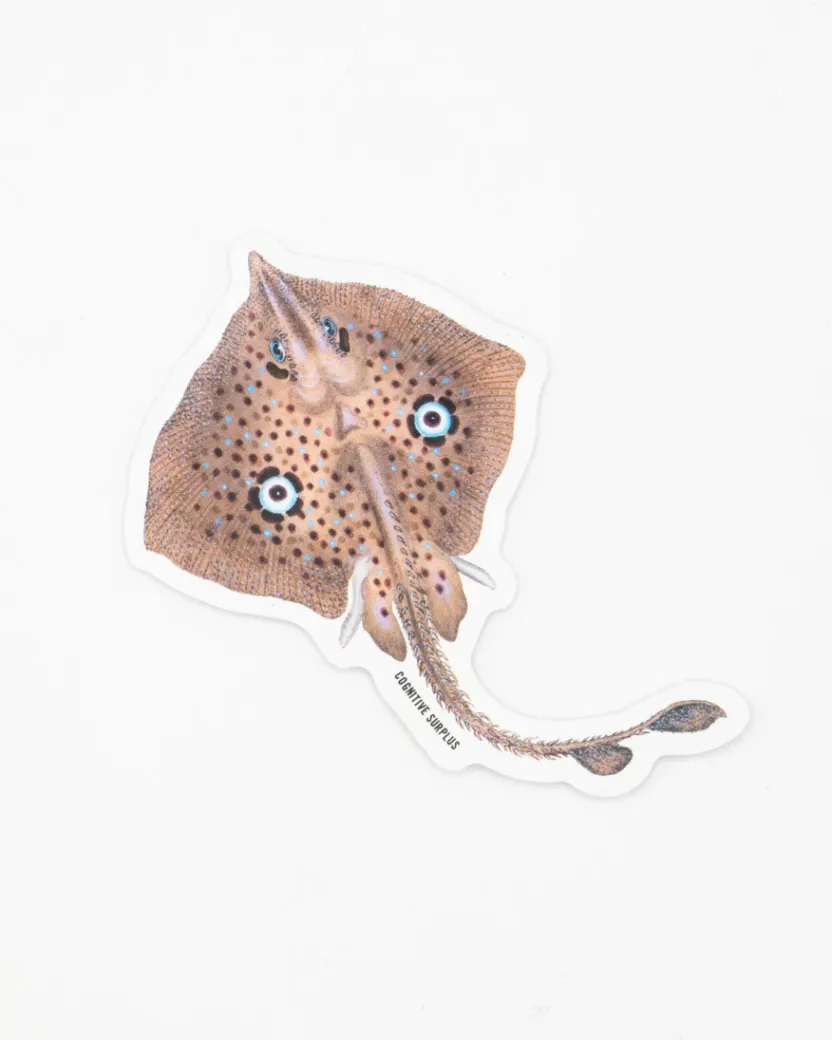 Cognitive Surplus Homelyn Mirror Ray Sticker* Stickers | Marine Biology