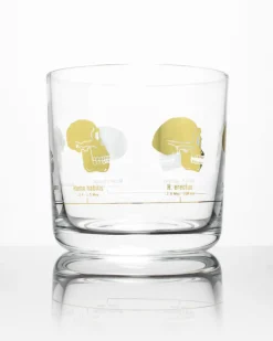 Cognitive Surplus Hominid Skulls Whiskey Glass - Scotch Glass | * Rocks Glasses | Anthropology & Archaeology