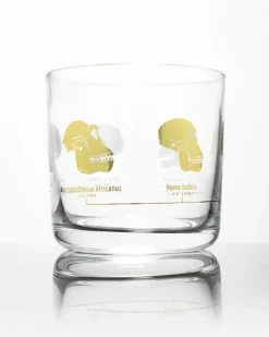 Cognitive Surplus Hominid Skulls Whiskey Glass - Scotch Glass | * Rocks Glasses | Anthropology & Archaeology