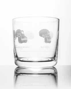 Cognitive Surplus Hominid Skulls Whiskey Glass - Scotch Glass | * Rocks Glasses | Anthropology & Archaeology