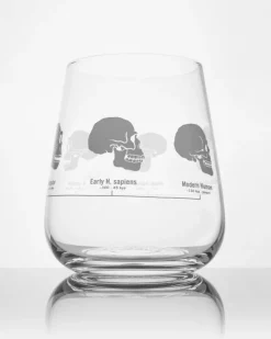Cognitive Surplus Hominid Skulls Wine Glass | * Wine Glasses | Biology