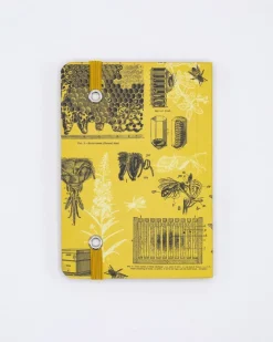 Cognitive Surplus Honey Bee Observation Softcover* The Observation | Entomology