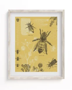 Cognitive Surplus Honey Bee Scientific Illustration Museum Print* Wall Art | Entomology