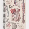 Cognitive Surplus Human Anatomy Spiral Notebook | * The Helix | Psychology