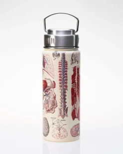Cognitive Surplus Human Anatomy Stainless Steel Vacuum Flask / Insulated Travel Thermos* Travel Mugs | Water Bottles