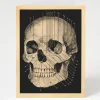 Cognitive Surplus Human Skull Card - Medical Illustration Greeting Card | * Greeting Cards | Medicine
