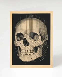 Cognitive Surplus Human Skull Card - Medical Illustration Greeting Card | * Greeting Cards | Medicine