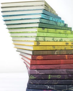Cognitive Surplus Hypothesis Mystery Notebook 6-pack* Multi-Pack Collections | The Hypothesis