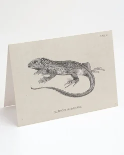 Cognitive Surplus Iguana Greeting Card - Herpetology Stationery | * Greeting Cards | Biology