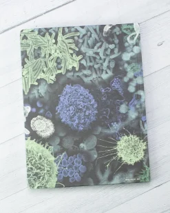 Cognitive Surplus Infectious Disease Hardcover Journal | Microbiologist* The Hypothesis | Microbiology