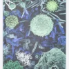 Cognitive Surplus Infectious Disease Lab Notebook* The Laboratory | Microbiology