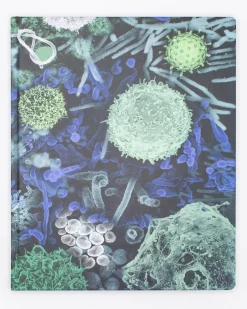 Cognitive Surplus Infectious Disease Lab Notebook* The Laboratory | Microbiology