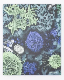 Cognitive Surplus Infectious Disease Lab Notebook* The Laboratory | Microbiology