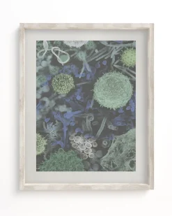 Cognitive Surplus Infectious Disease Museum Print | Art Prints | * Microbiology | Medicine