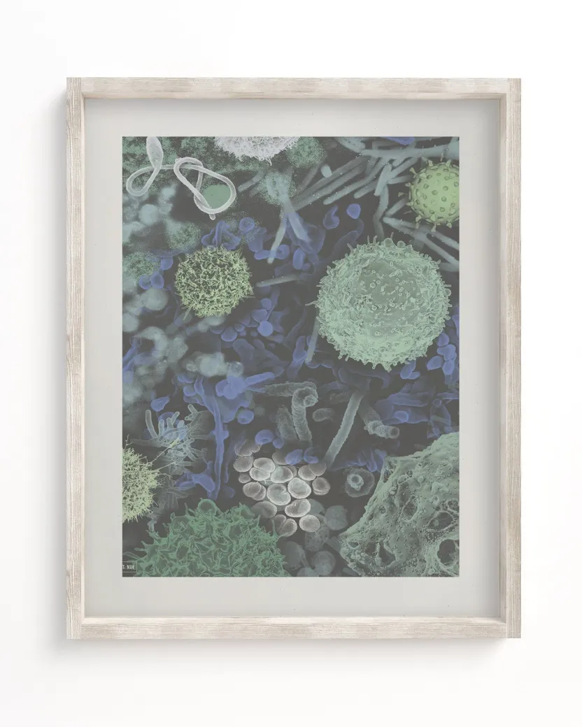 Cognitive Surplus Infectious Disease Museum Print | Art Prints | * Microbiology | Medicine