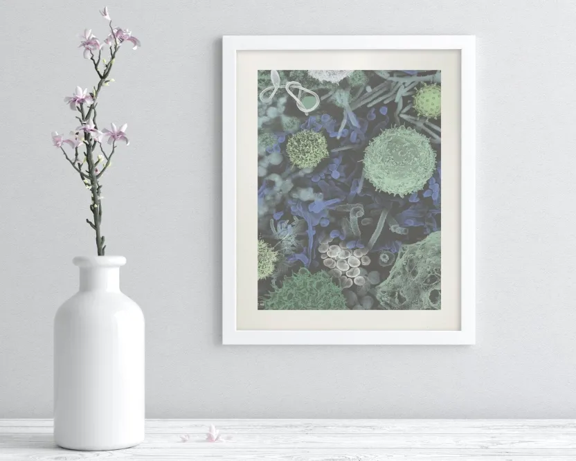 Cognitive Surplus Infectious Disease Museum Print | Art Prints | * Microbiology | Medicine