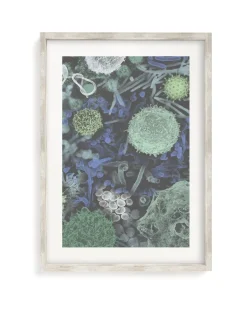 Cognitive Surplus Infectious Disease Museum Print | Art Prints | * Microbiology | Medicine