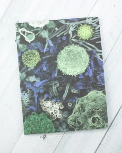 Cognitive Surplus Infectious Disease Softcover Notebook | Recycled Notebook* The Experiment | Medicine