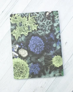 Cognitive Surplus Infectious Disease Softcover Notebook | Recycled Notebook* The Experiment | Medicine